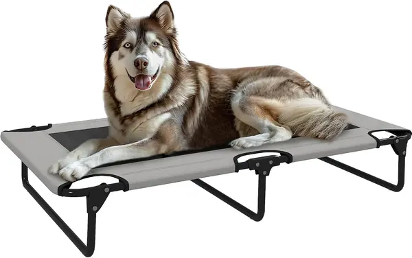 Hundeliege Klappbar Outdoor Erhöht für Hunde 107x61x20 cm…